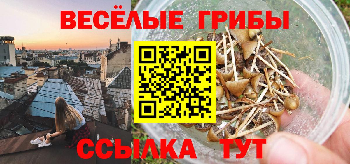 Галлюциногенные грибы ЛСД Торжок